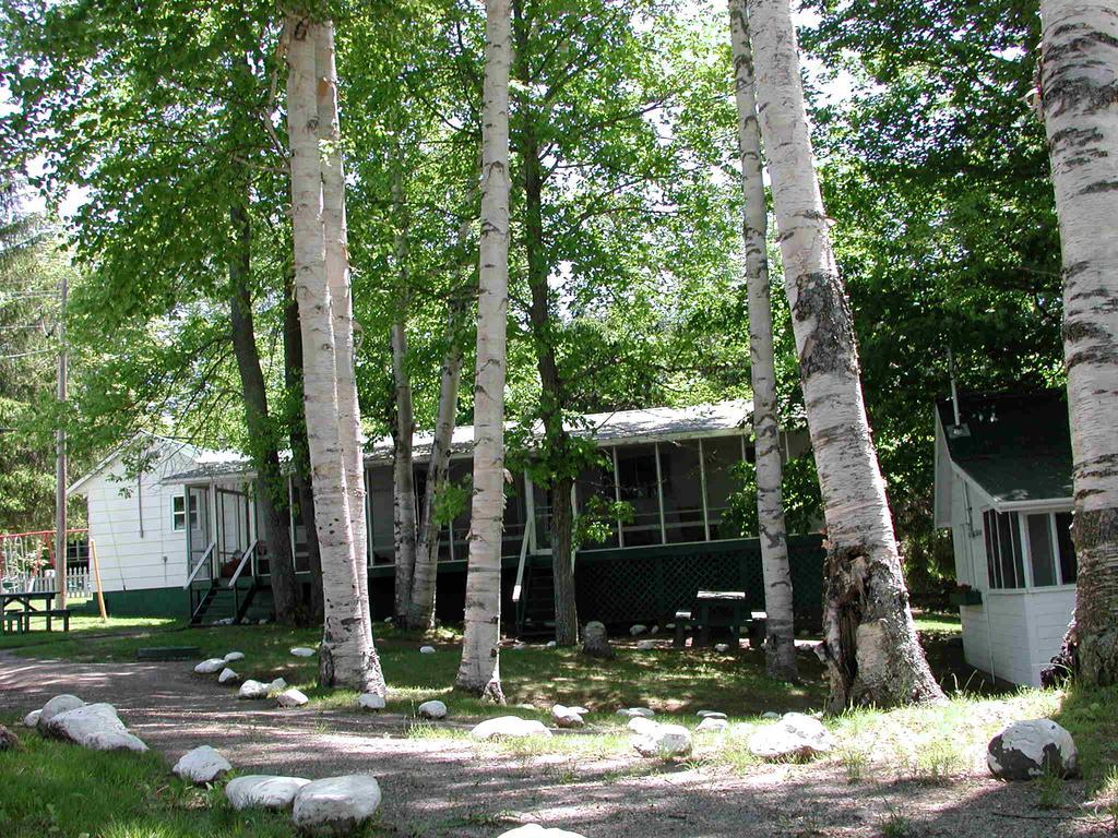 Birch Cliff Lodge on Baptiste Lake Highland Grove Zimmer foto